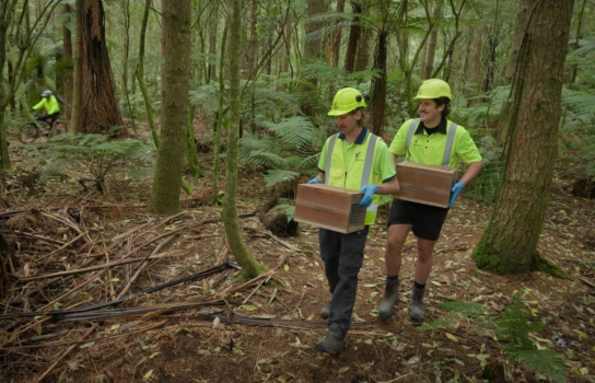 Pictured (left to right) are foresters Nathan Wright and Hugh Mackintosh.