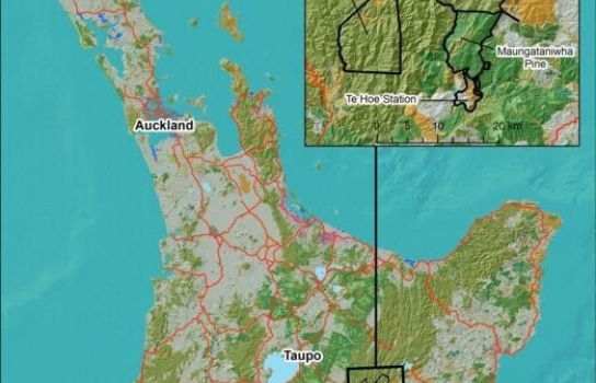 Pohukura, an indigenous forest, is located inland from Hawke’s Bay, mid-way between Taupō and Napier.