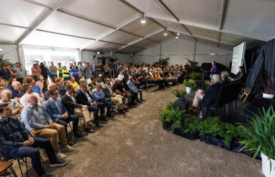 More than 250 people gathered for the nursery's official opening at Rerewhakaaitu