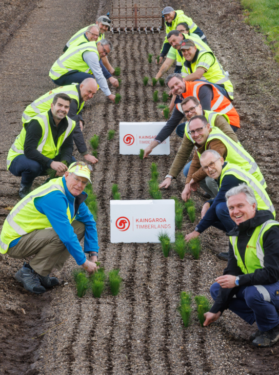 Board members, senior leaders & nursery staff ceremoniously set the first cuttings.